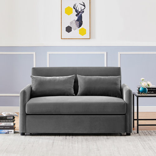 Hokku Designs Jerrin 57.1'' Velvet Sofa Bed, Sofa Sleeper, Convertible